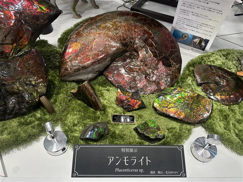 半分、なるこ。 on X