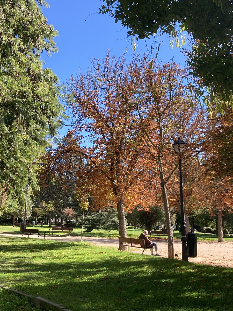 Milfri Pérez Macías (@milfri) on Twitter photo 