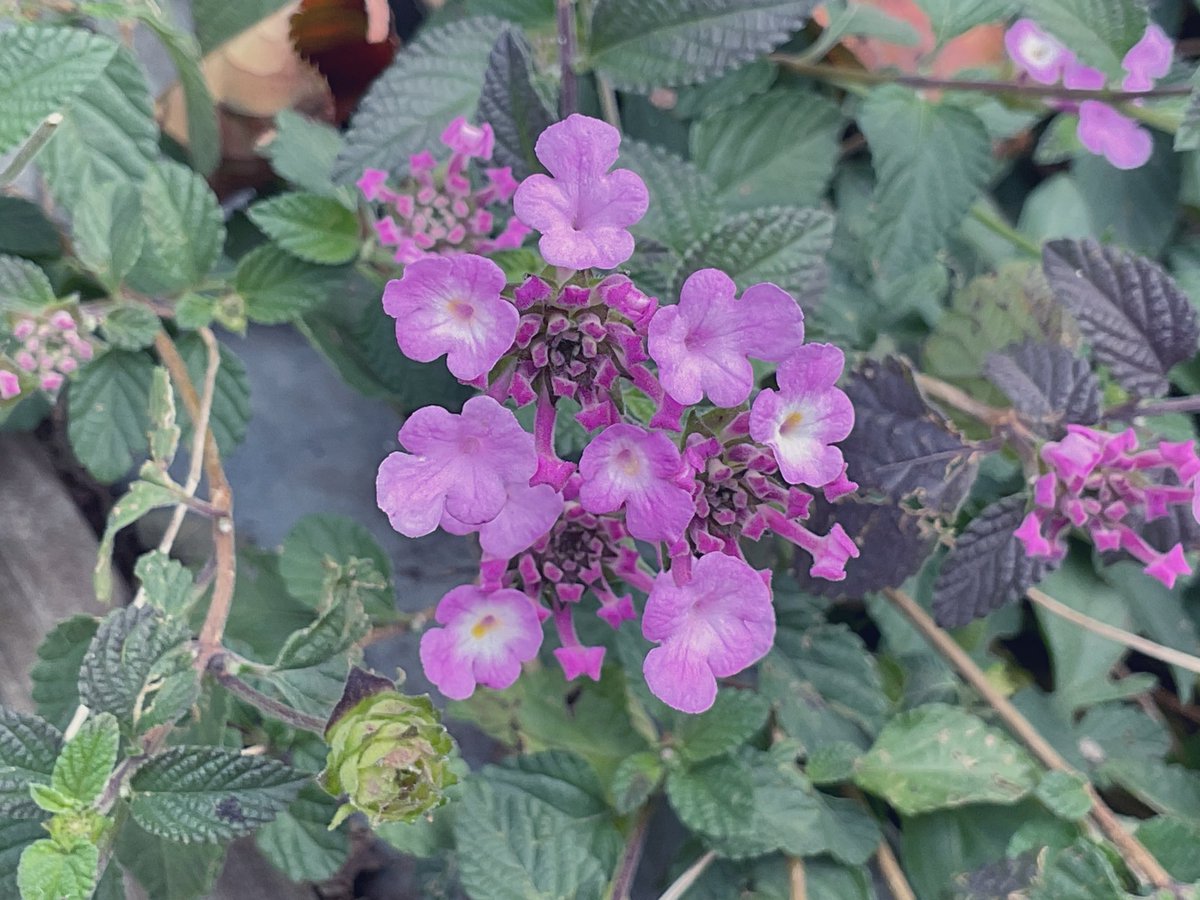 オープンしました。   

営業時間は18時までです。
12〜13時はクローズさせていただきます。
少しひんやり☁️
暖かくしてお出かけください📚📕📖

koganecho.net/event  
gallery made in koganecho   13時〜18時