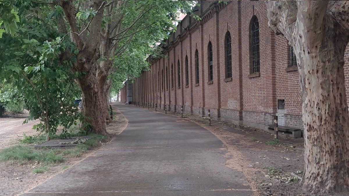 lo horrible q es lanus y lo linda q es la unla mira este caminito naaa tenes q cerrar la educacion publica