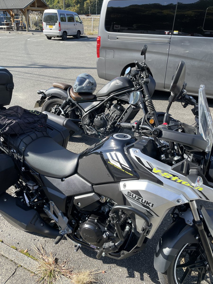 ぬこここ on X ぬこここ on X