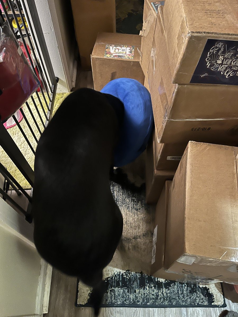 REFcreatives tweet media