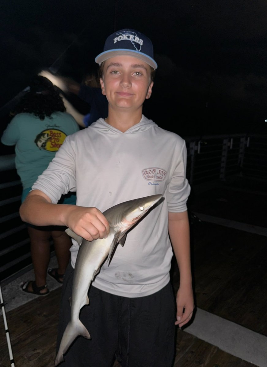 Koby Demopoulos tweet media