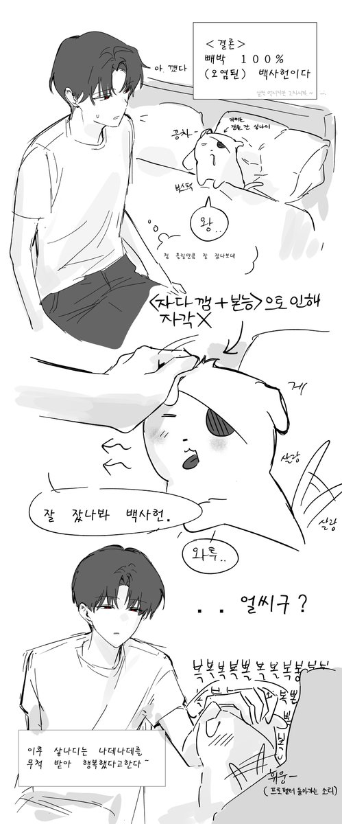 고요속외침 tweet media