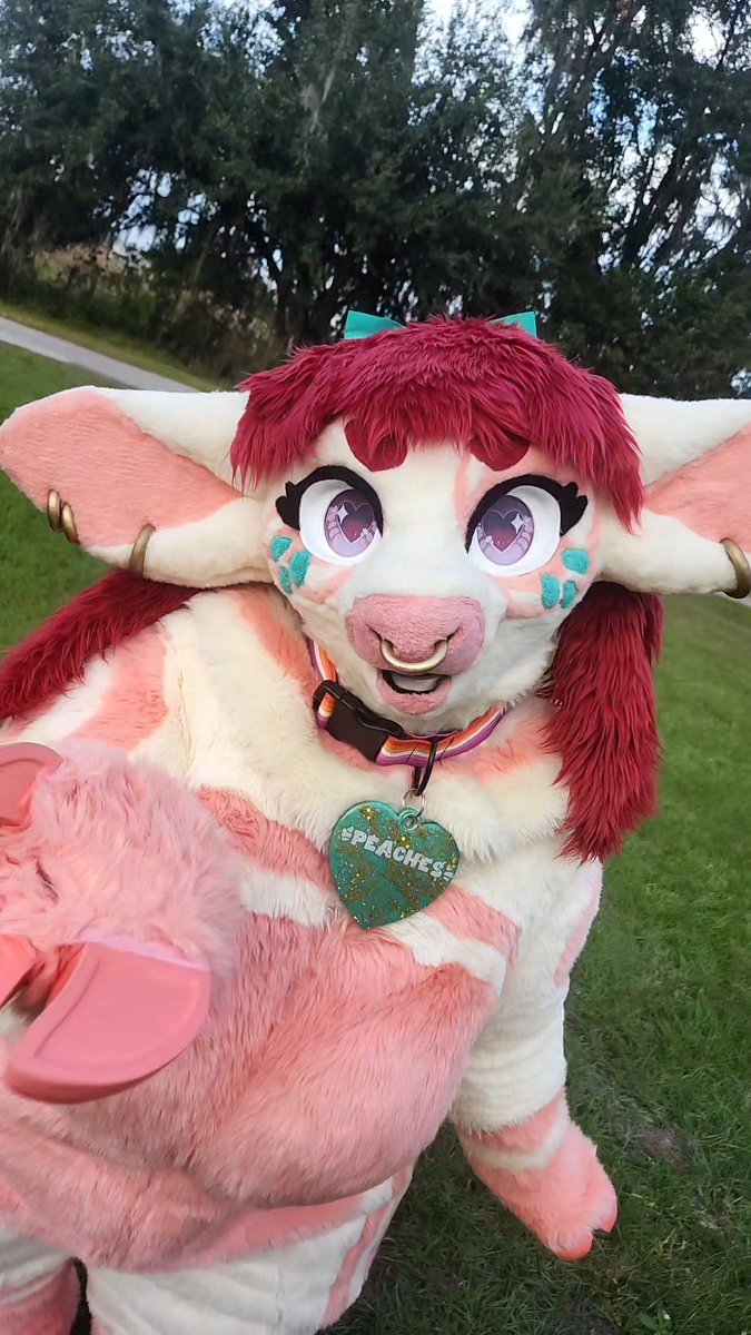 ImThatGayCow's tweet photo. Happy fursuit Friday💕

#fursuit #fursuitfriday #fursuiter https://t.co/pmmaUfQlPB