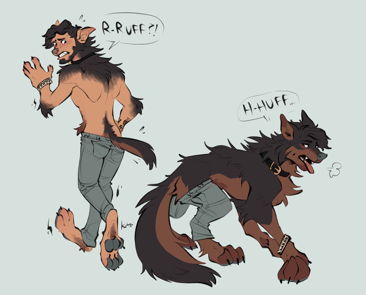 Ready to be a good boy 🐶