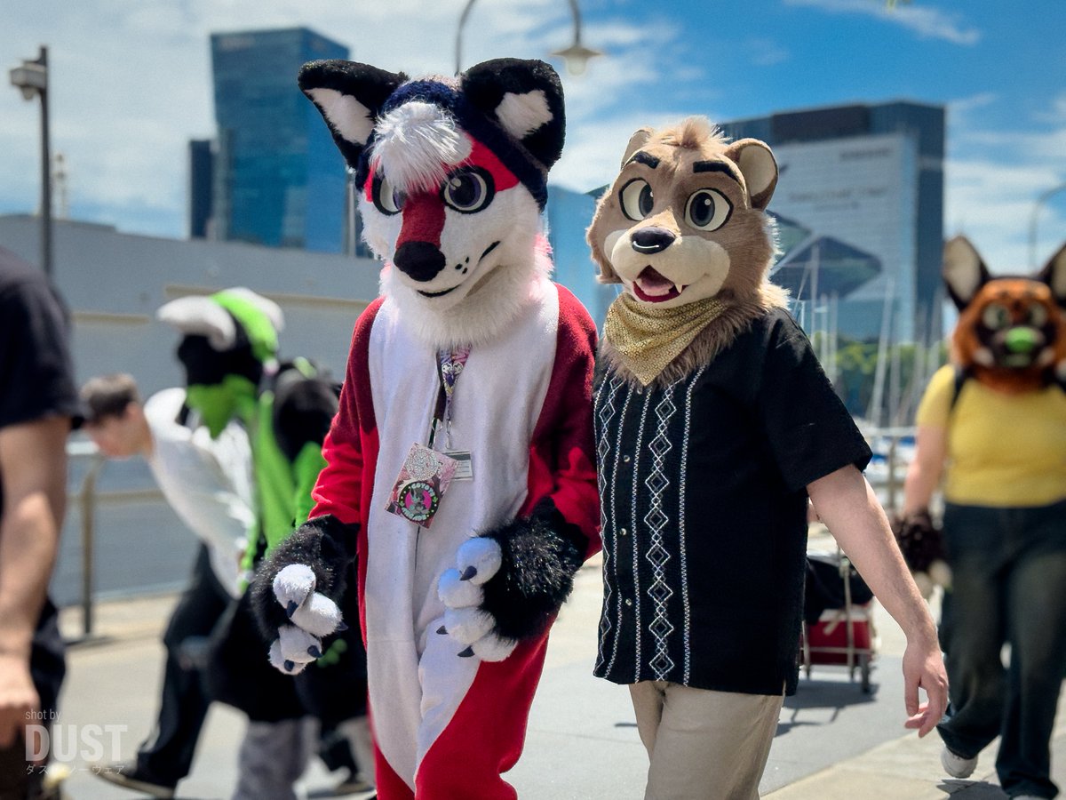 Some pics from last weekend furwalk :3
#FursuitFriday
📸 <a href="/dustNowhere/">DUST ✨</a> 
🪡 <a href="/koshkafursuits/">Koshka Fursuits</a>