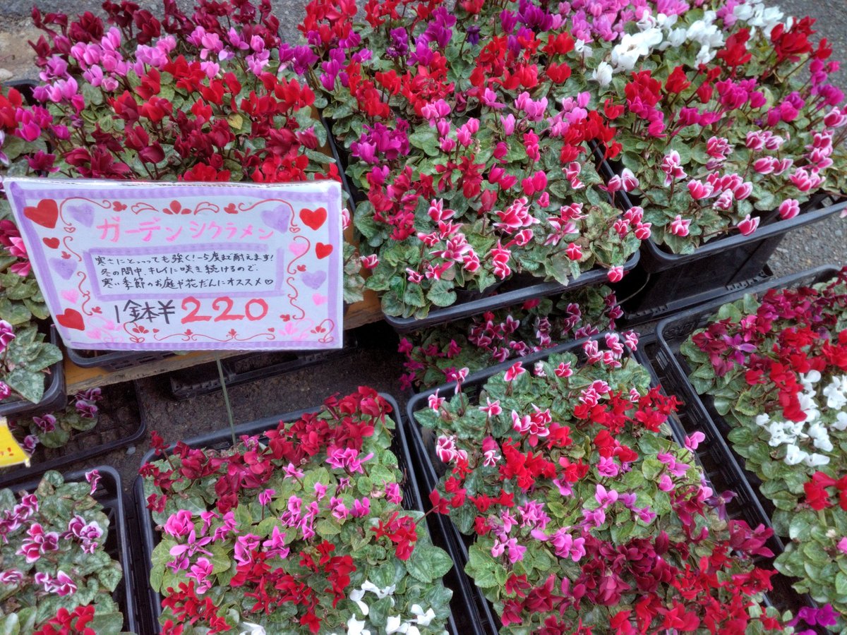 花y…です•*¨*•.¸♬︎ みよみよ on X