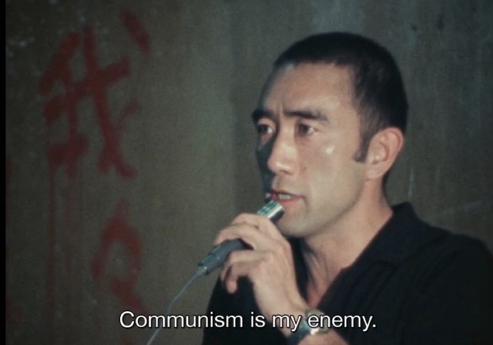 Nikola Krestonosich Celis tweet media