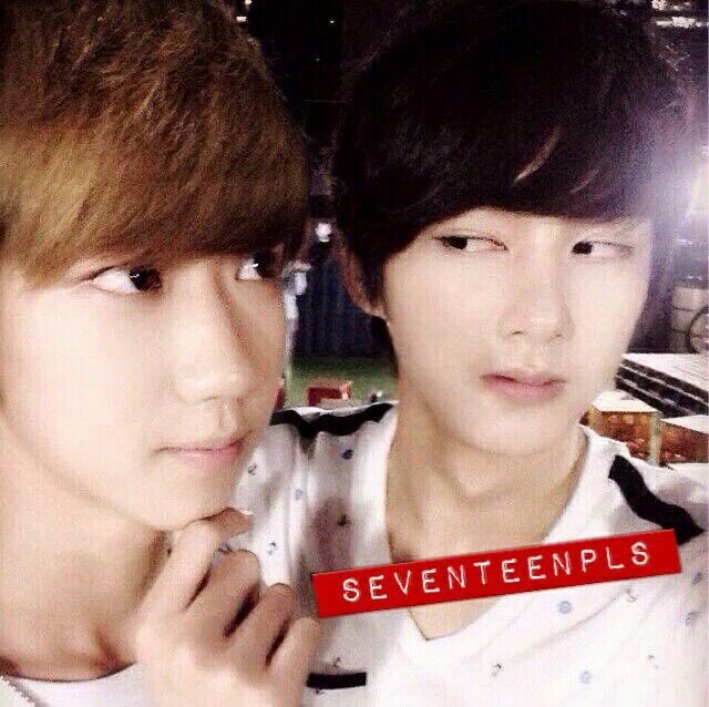 svt archive tweet media
