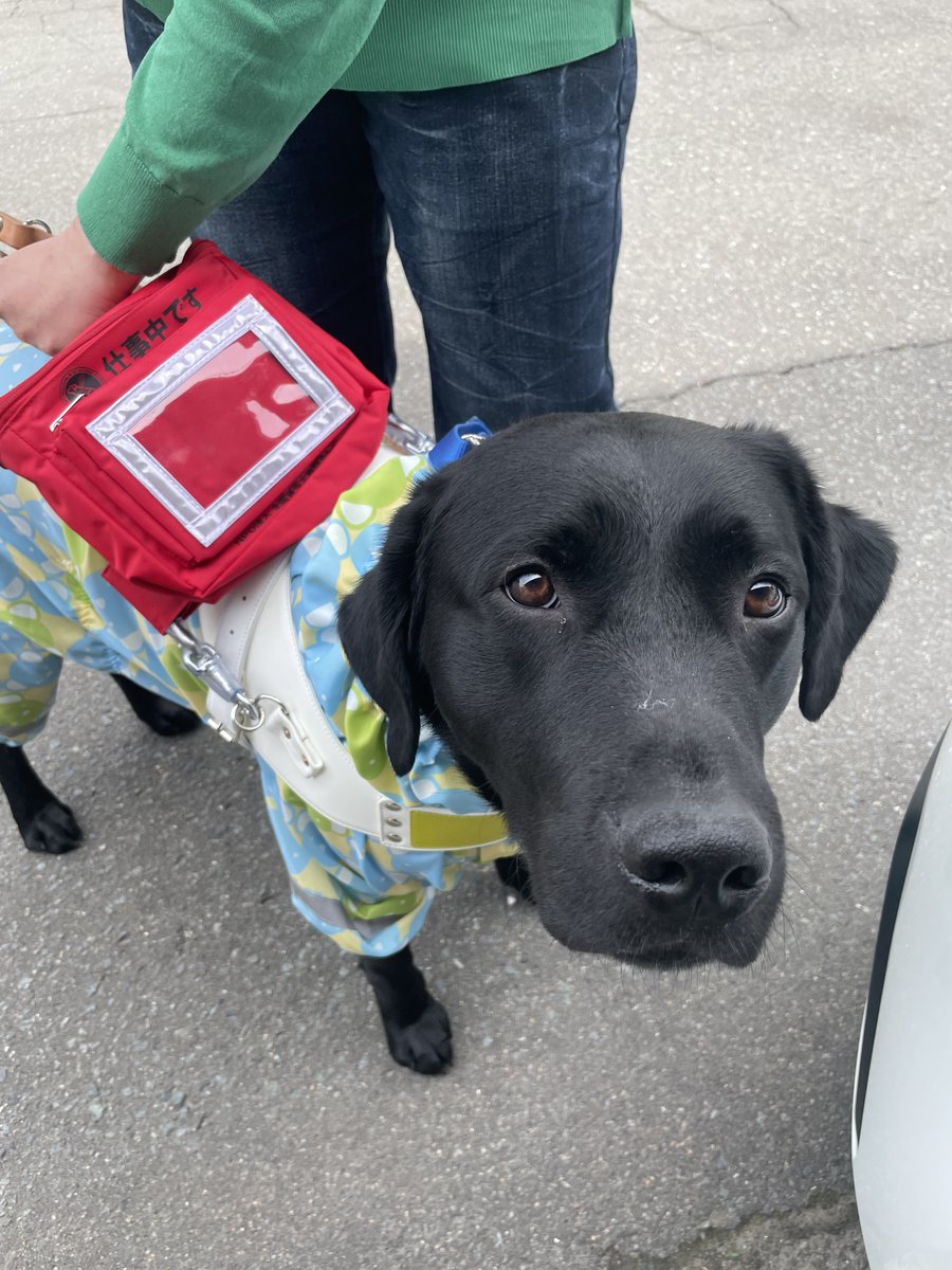 こたパパ (@kotapapa0608) / Posts / X