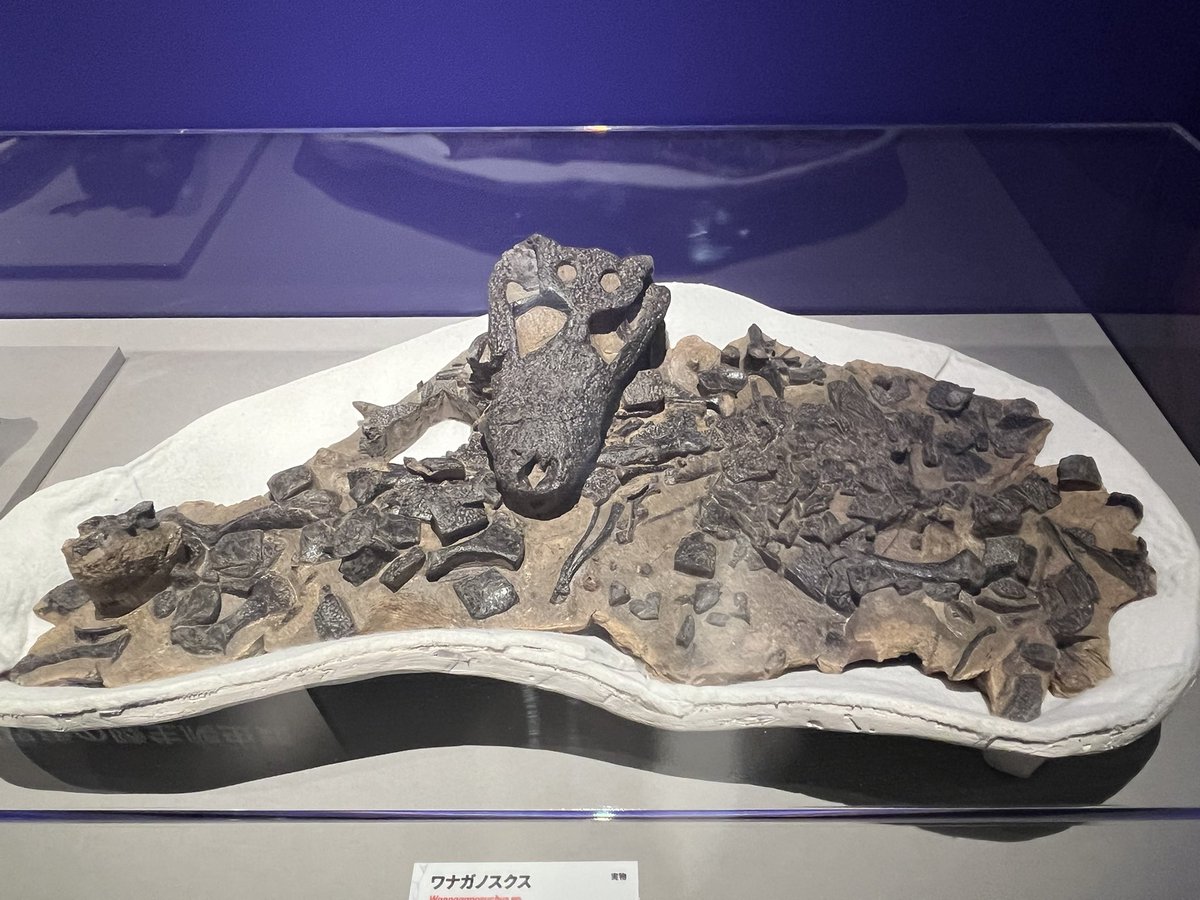 哲学断想追補 パンテオン（半遁モード） on X