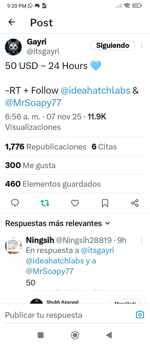 Florwinner12 tweet media