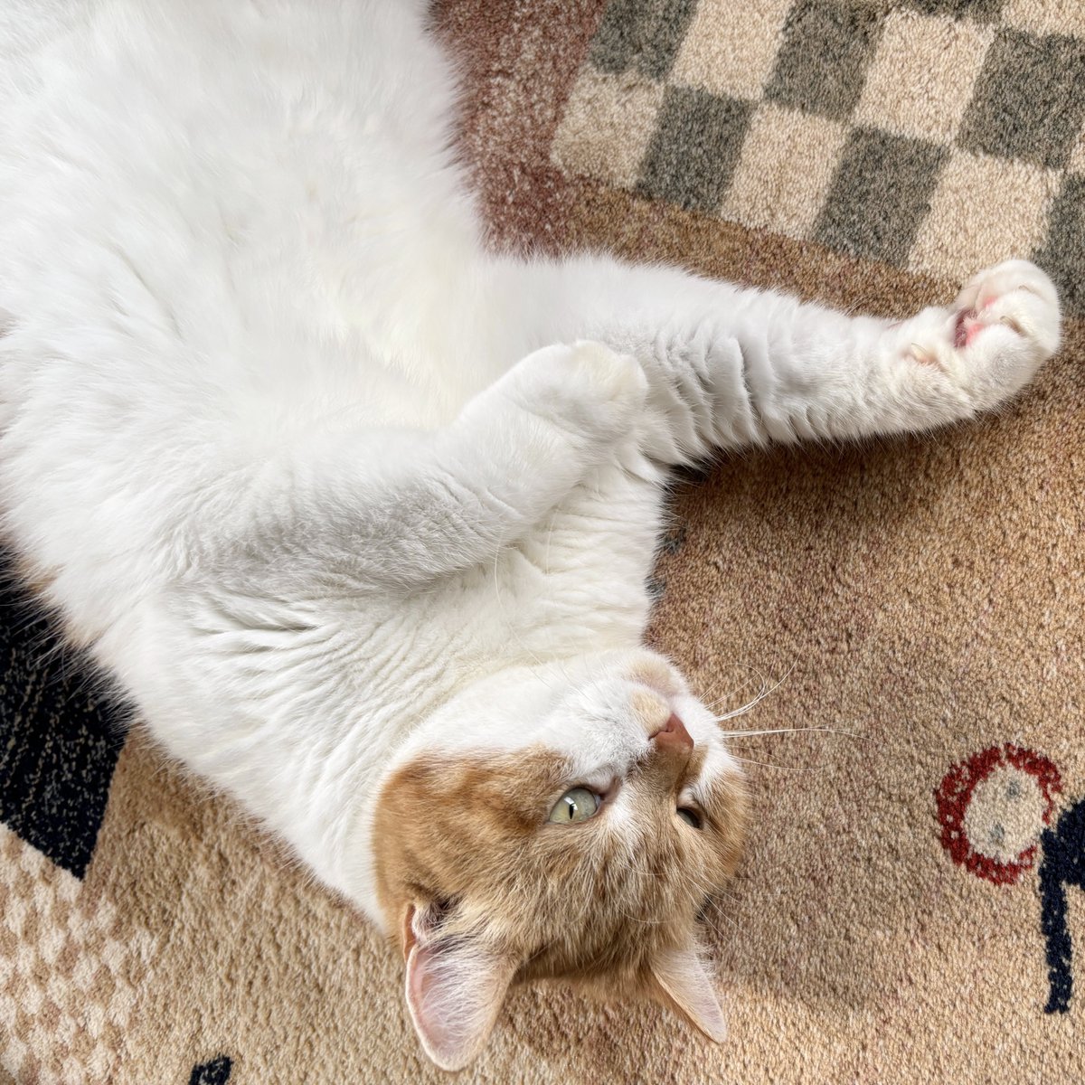 かなえ様　ご相談ページ なしえ‎ on X