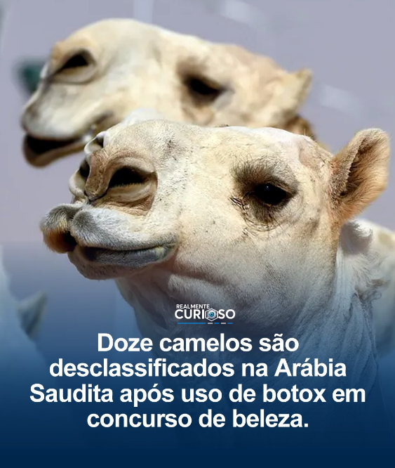 Agora entendi de onde vem a moda....