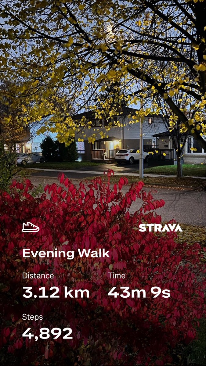 kunrup's tweet photo. Late evening walk around neighborhood. Getting ready mentally for the winter weather starting on Sunday.
They are saying up to 10cm snow in the forecast.
#brampton #stayactive #staymotivated #walkforfun #walkforhealth #activelifestlye #couplegoals #november https://t.co/UF9dNmvjPf