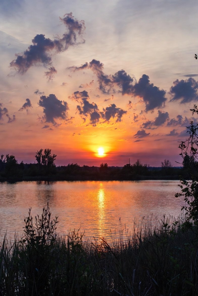 हर परिस्थिति में विनम्र रहो क्योंकि नियति के खेल को बदलने में उतना ही समय लगता है जितना एक सांस लेने में।

शुभ प्रभात साथियों।।