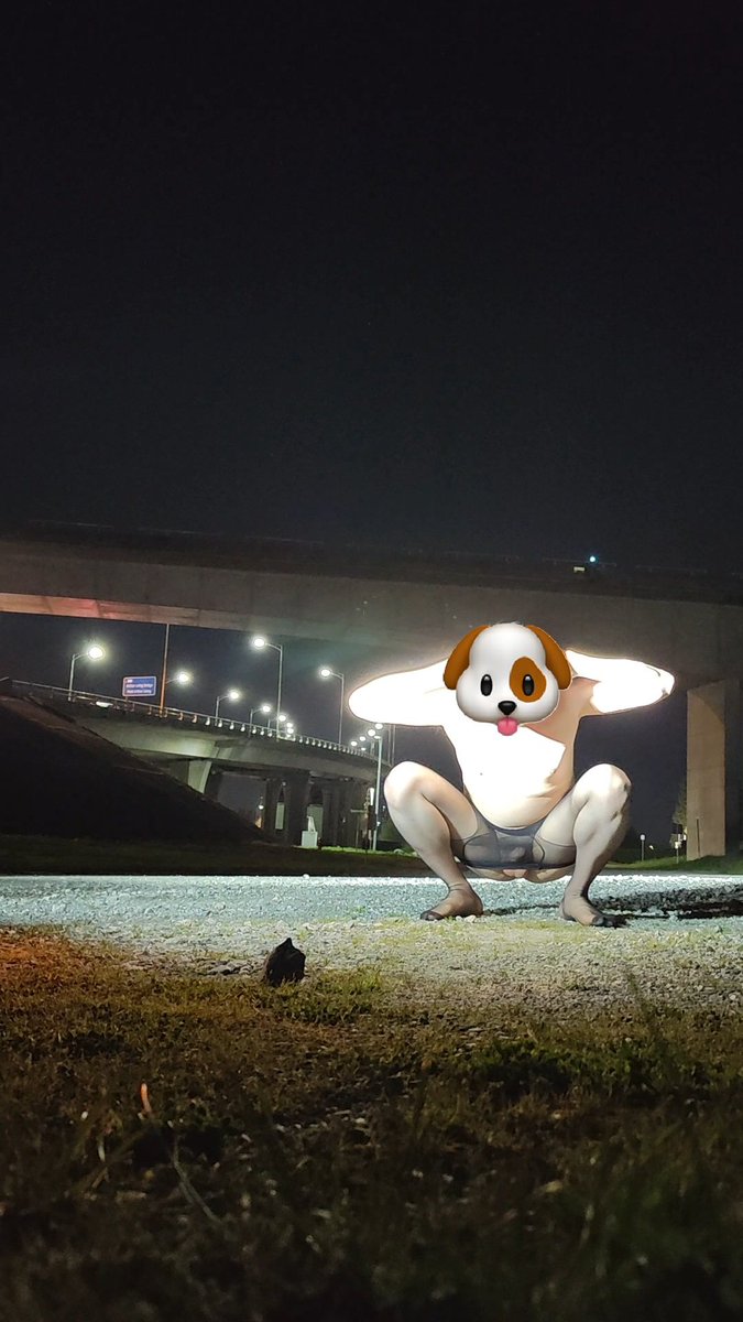 人夫CD Sandra三爪 tweet media