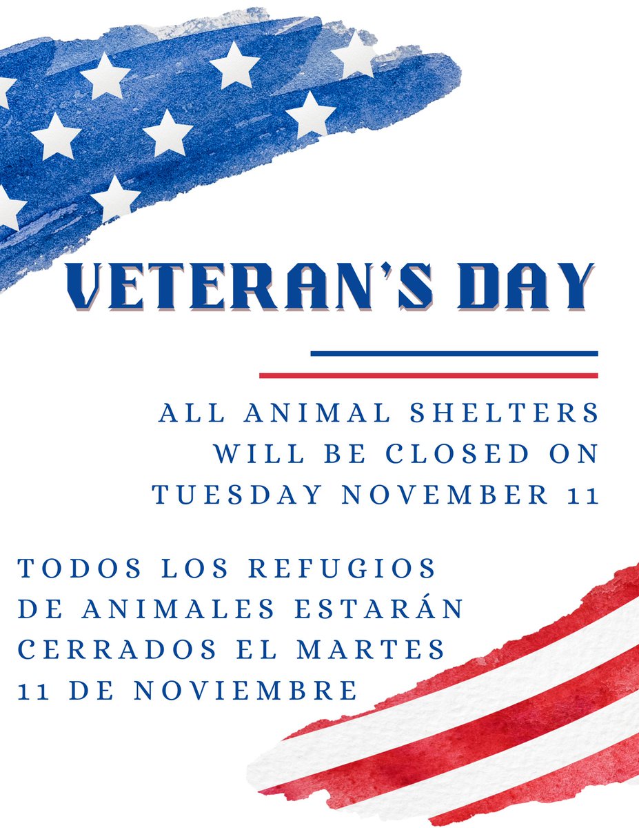 SBC Animal Services tweet media