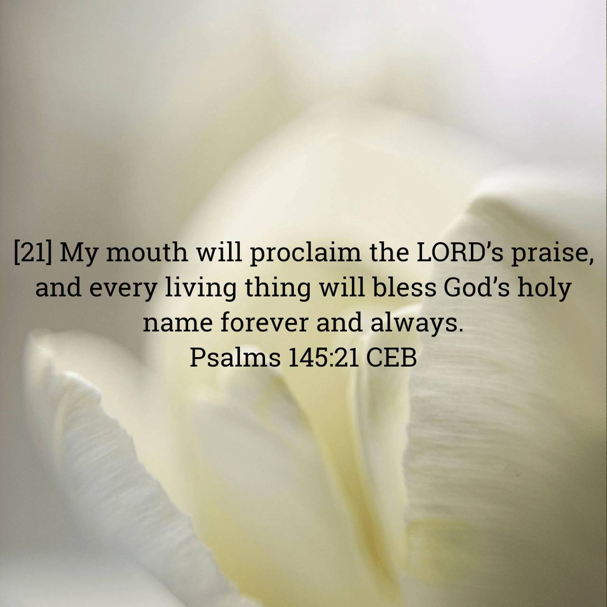 Lectionary's tweet image. Psalms 145:21 CEB
[21] My mouth will proclaim the LORD’s praise, and every living thing will bless God’s holy name forever and always.

bible.com/bible/37/psa.1…