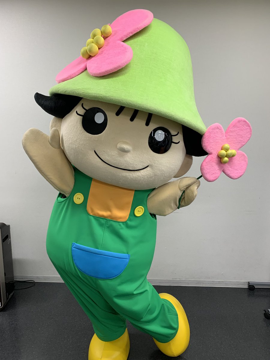 mein major (@pchan39) / Posts / X