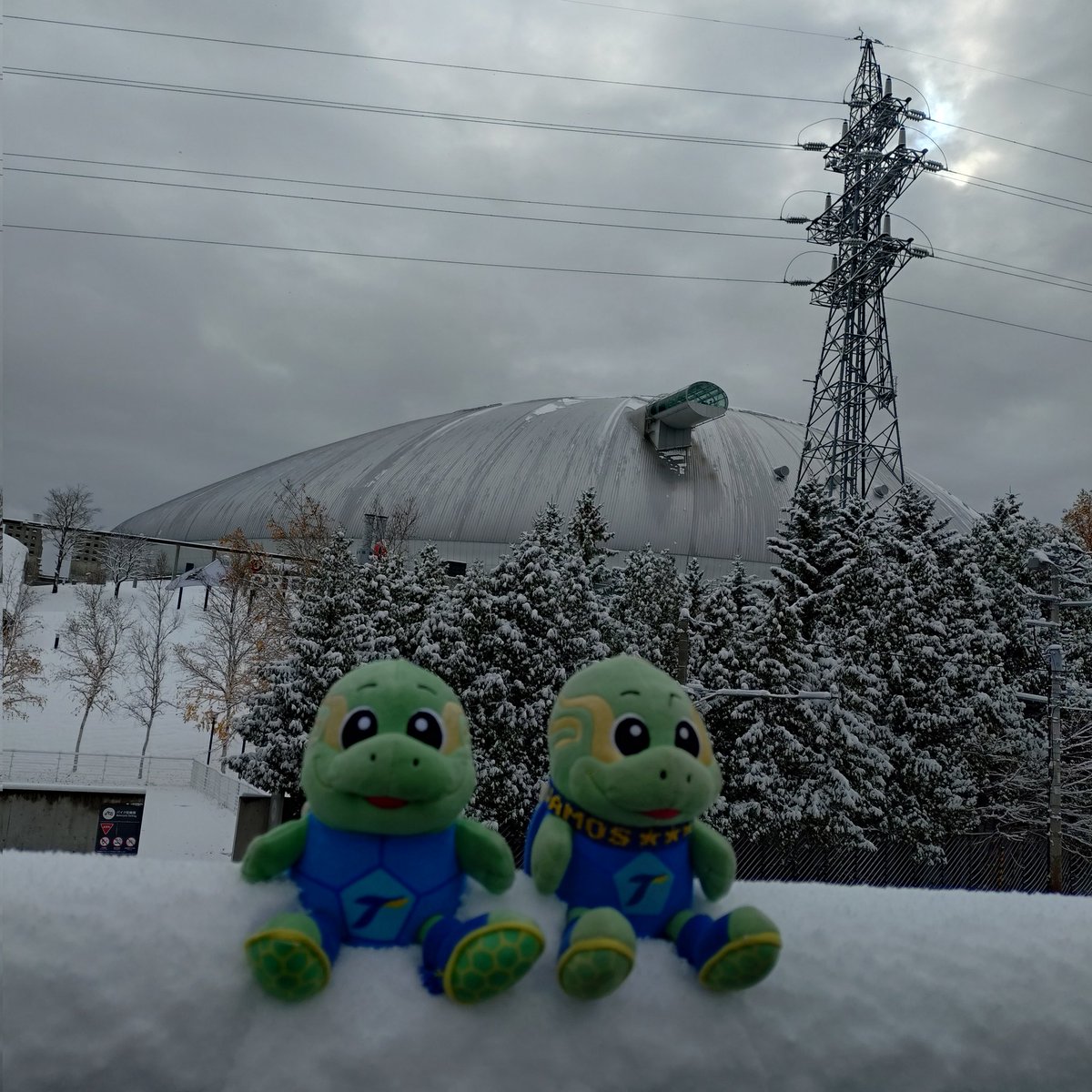 masaya (@masaya_hr) / Posts / X masaya (@masaya_hr) / Posts / X