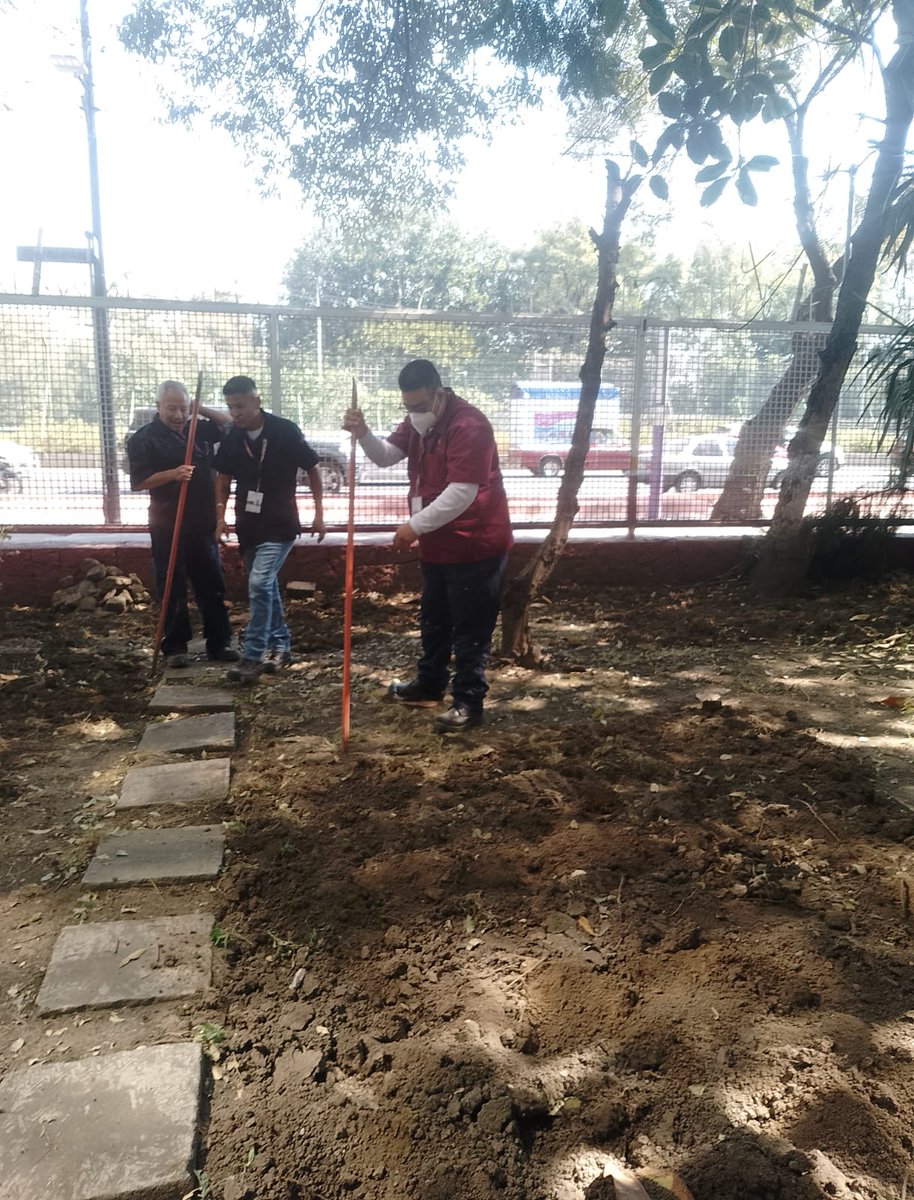 IsssteZonaSur's tweet image. 🌿💪 ¡Viernes con actitud y la Cuadrilla al 💯!
Bajo la gestión de la Subdelegación de Administración, el Departamento de Obras continúa los trabajos en la Clínica de Especialidades Churubusco, donde se atiende el jardín para prevenir encharcamientos 🌧️✨ y se revisa una fuga de…