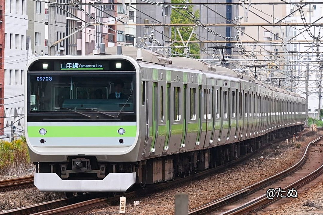 たぬこう👼 on X