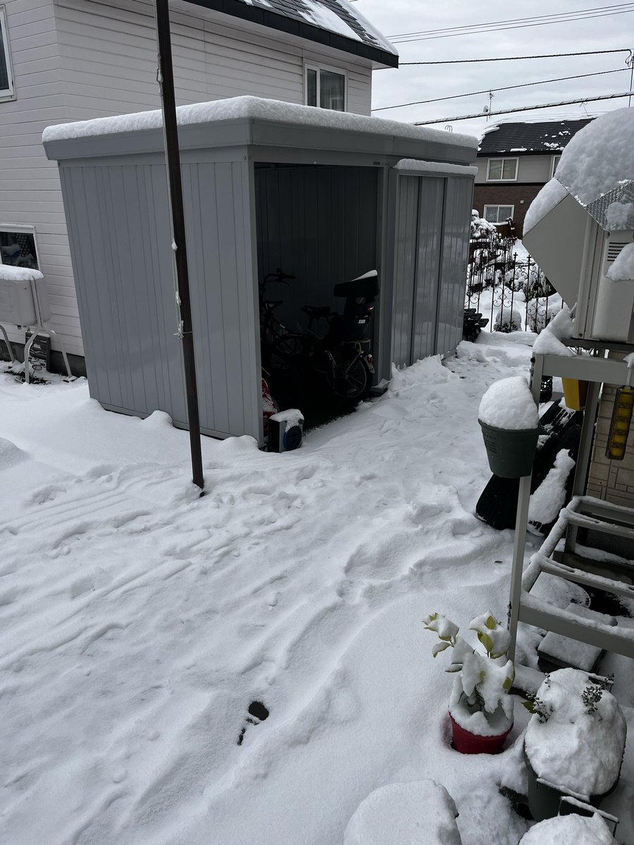 雪かきの季節ですねぇ