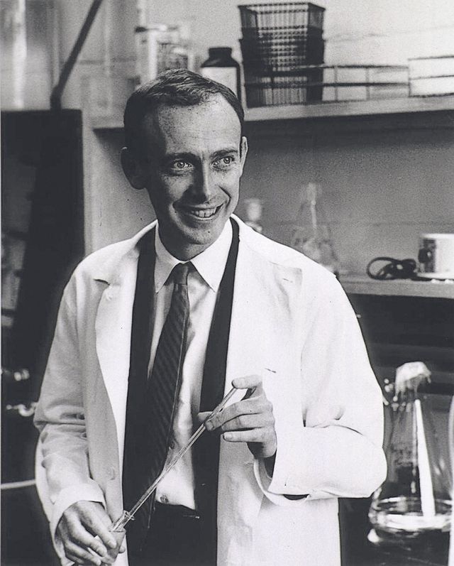 James Watson ist gestorben.
Womöglich war er der Letzte der großen Alten: Einer jener Wissenschaftler, die noch etwas herausgefunden haben, was man als echtes Menschheitsrätsel bezeichnen könnte, dessen Lösung aber auch anschaulich und einfach genug war, als das ein einzelner