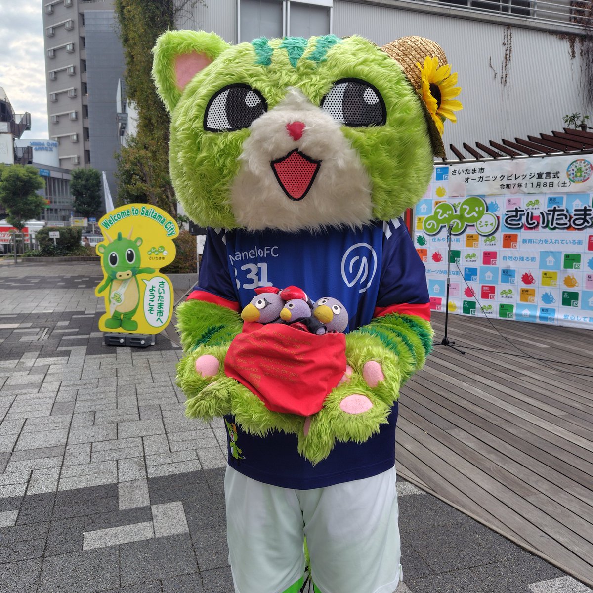 🇨🇦🇸🇪えちたん🇳🇴🇫🇷 on X