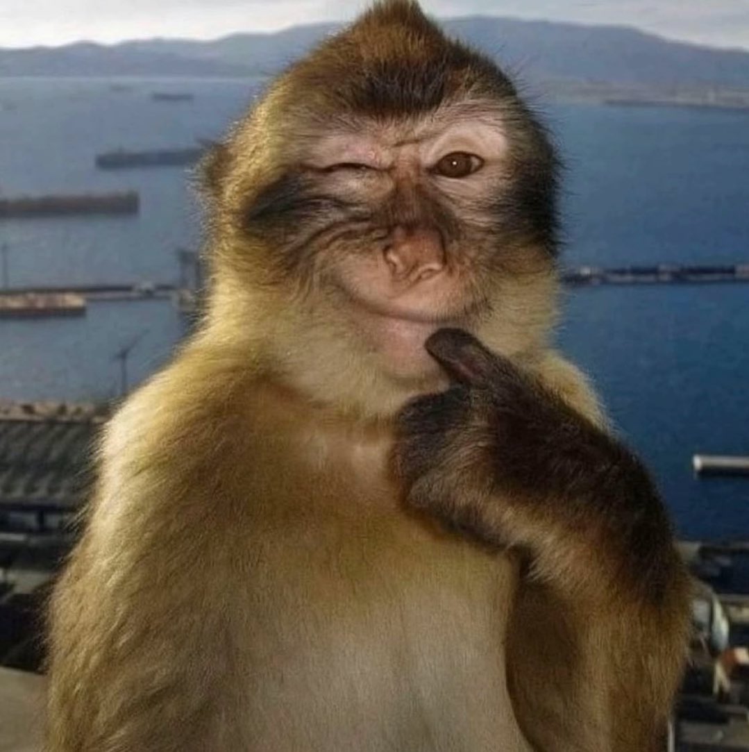 لما تصور صورة حلوه لنفسك وكل شوي تدخل الالبوم تشيك عليها