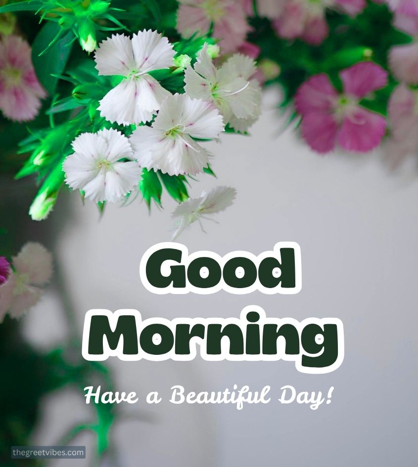 सुप्रभात मित्रों❤️❤️❤️❤️❤️❤️
<a href="/vijh_naveen/">Naveen Vijh</a> <a href="/Meeeramehta3/">💞 MEERU 💞</a> <a href="/_Sweet_Parul_/">❤️ INDIAN ❤️</a> <a href="/ModEci05/">ModEci</a> <a href="/IncPantd69/">𝘿𝙞𝙣𝙚𝙨𝙝𝙋𝙖𝙣𝙩_𝙄𝙉𝘾</a> <a href="/anitaahuja121/">ANIETA</a> <a href="/Arvindkuma43649/">Arvindkumar Jha</a> <a href="/DineshK03975523/">Dinesh Khandelwal</a> <a href="/shailandra_sing/">नमस्ते_दिल्ली 🙏🇮🇳</a> <a href="/budhwardee/">deepak</a>