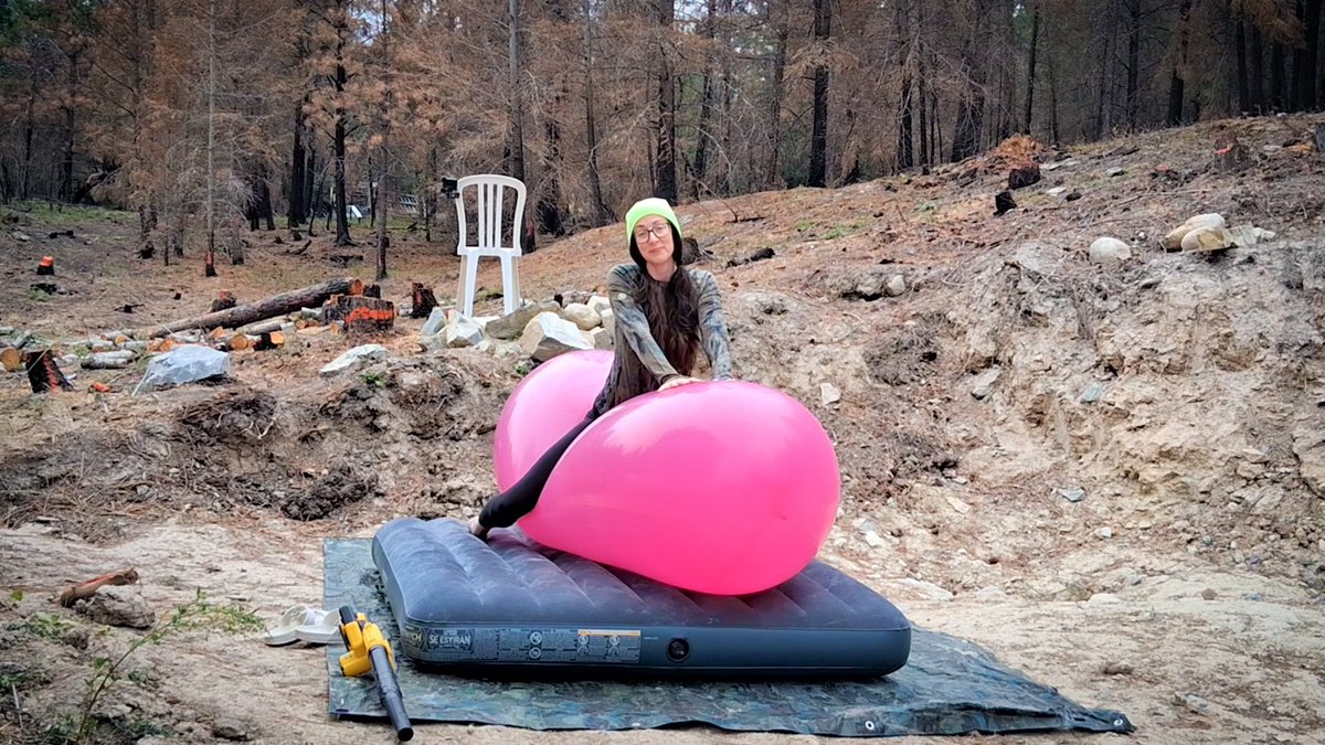 Emma Green tweet media