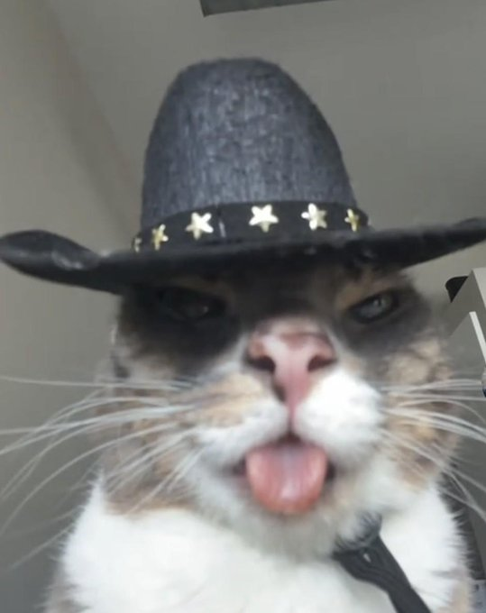 g0blin tweet media