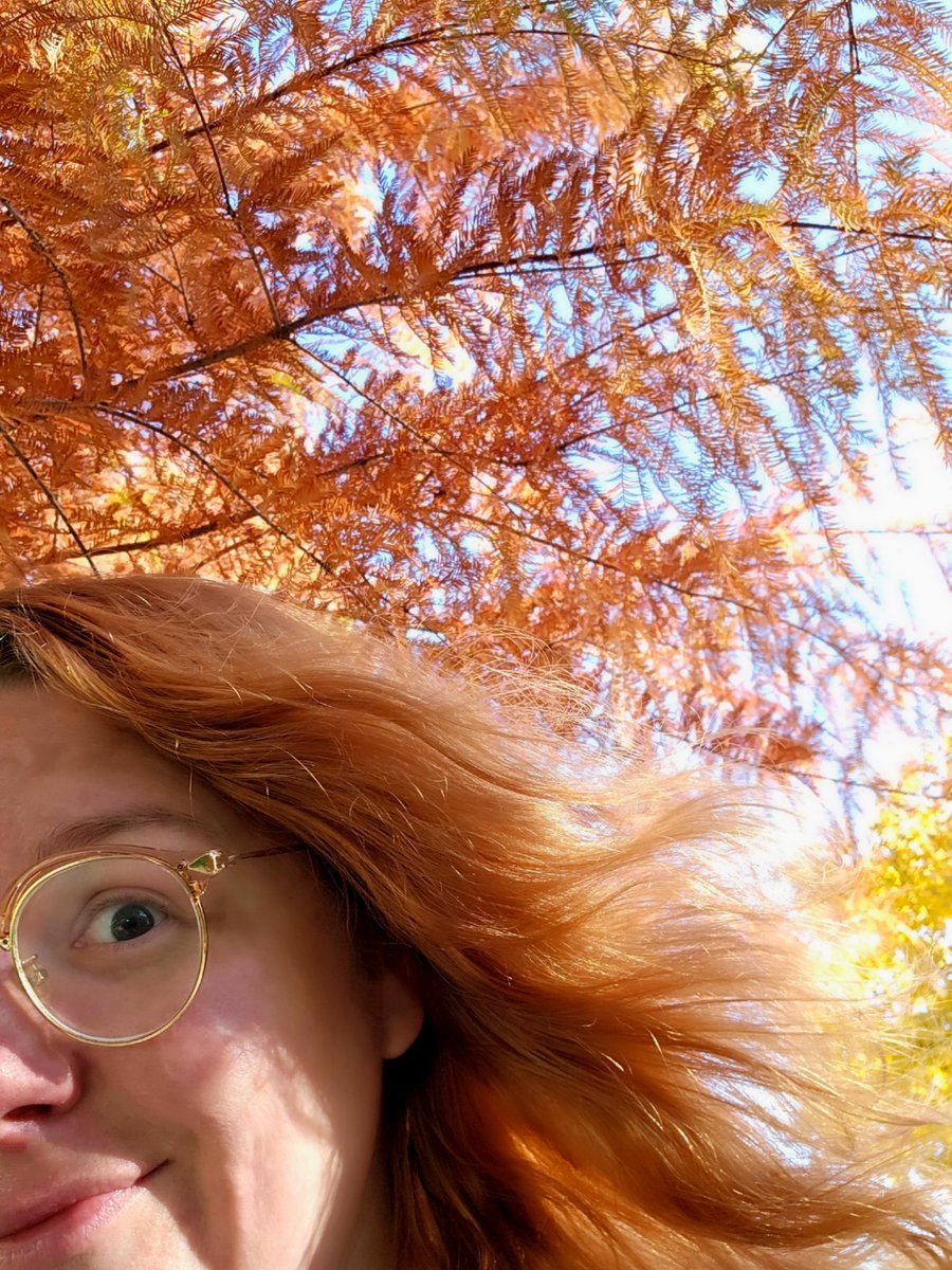 My hair matches this trees autumn color. ♡♡
