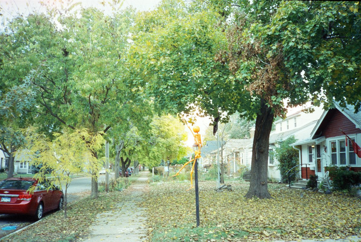 Day after Halloween, 2025