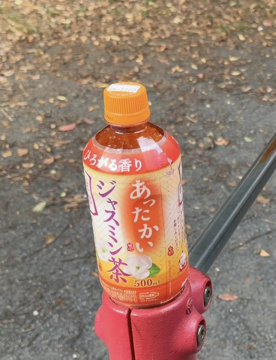 ⚠️ジャスミンページ⚠️ 堕落猫 on X