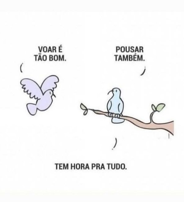 teu caos (@sobreteucaos) on Twitter photo 