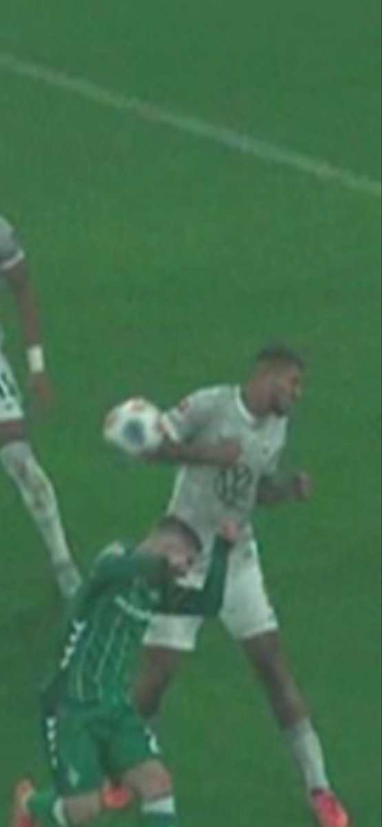 Manuel Gräfe tweet media