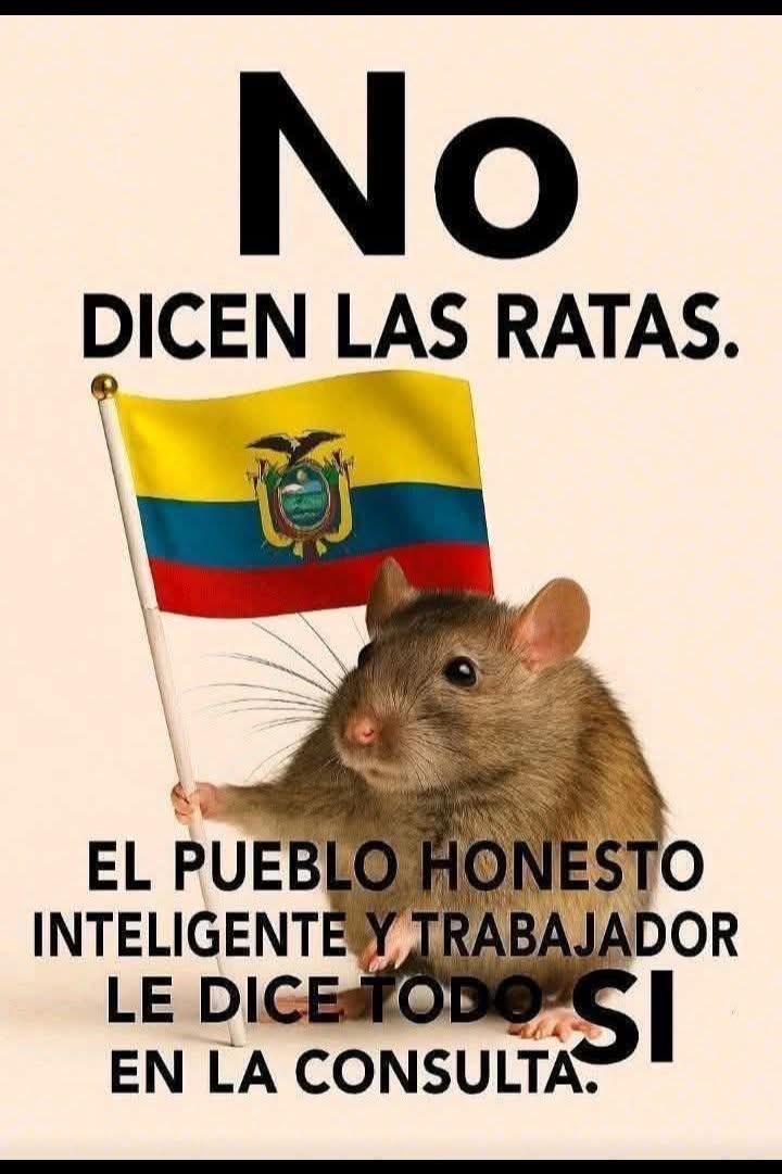 m_senz's tweet photo. @LuisaGonzalezEc https://t.co/vTI8vfKhaE