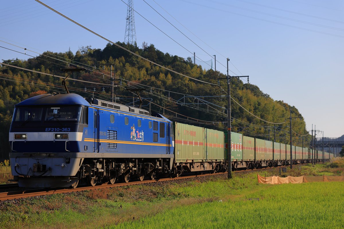 レレレのじいさん (@timajuku1) / Posts / X