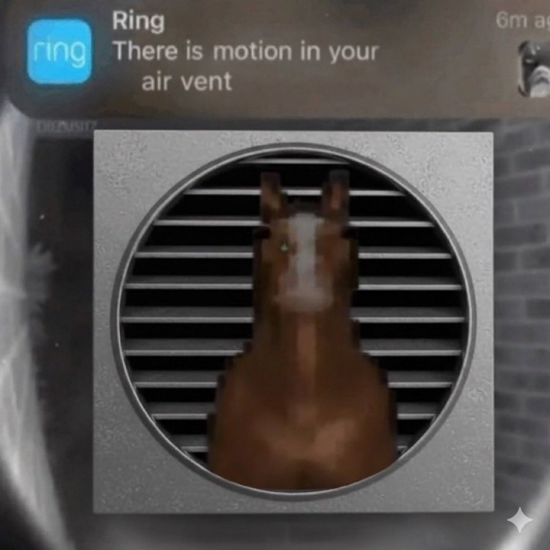 The horse stays in the air vent.