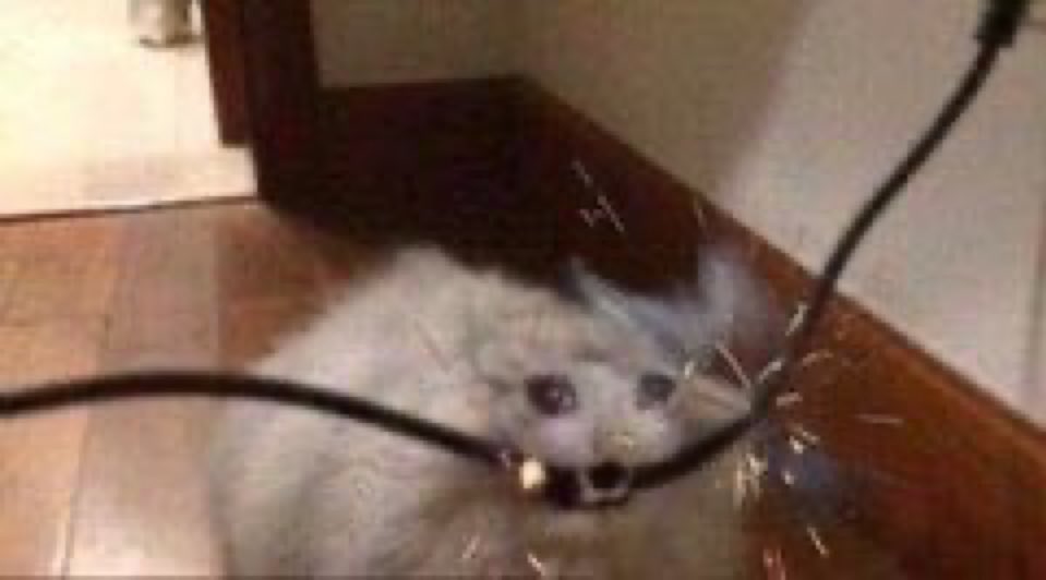 mathbrrt's tweet image. começou a fase da tatuagem coçar