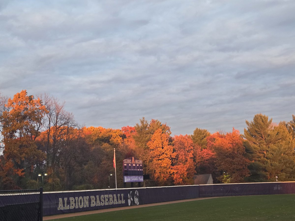 Albion Baseball tweet media