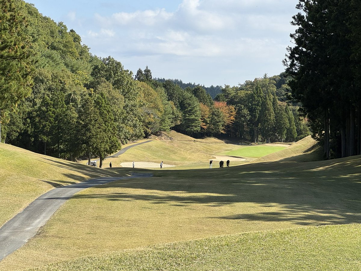 chariku_chaser's tweet photo. 🦌⛳️ https://t.co/PxhPR4VVhq
