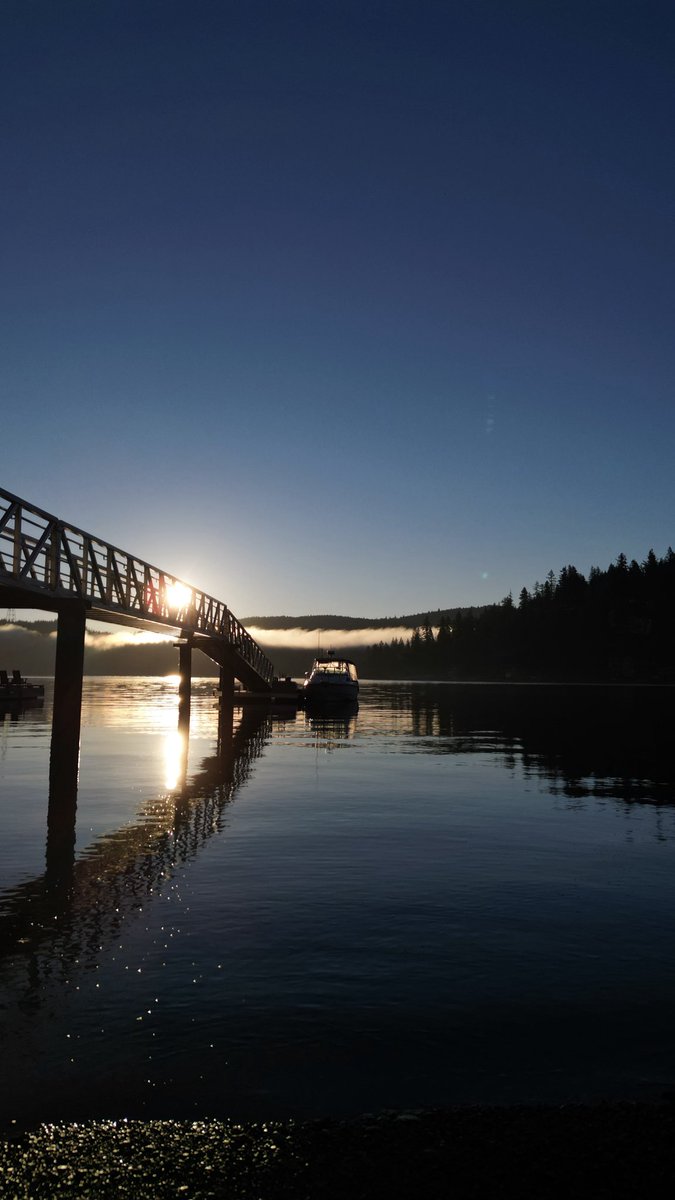 spravko's tweet image. 🏠