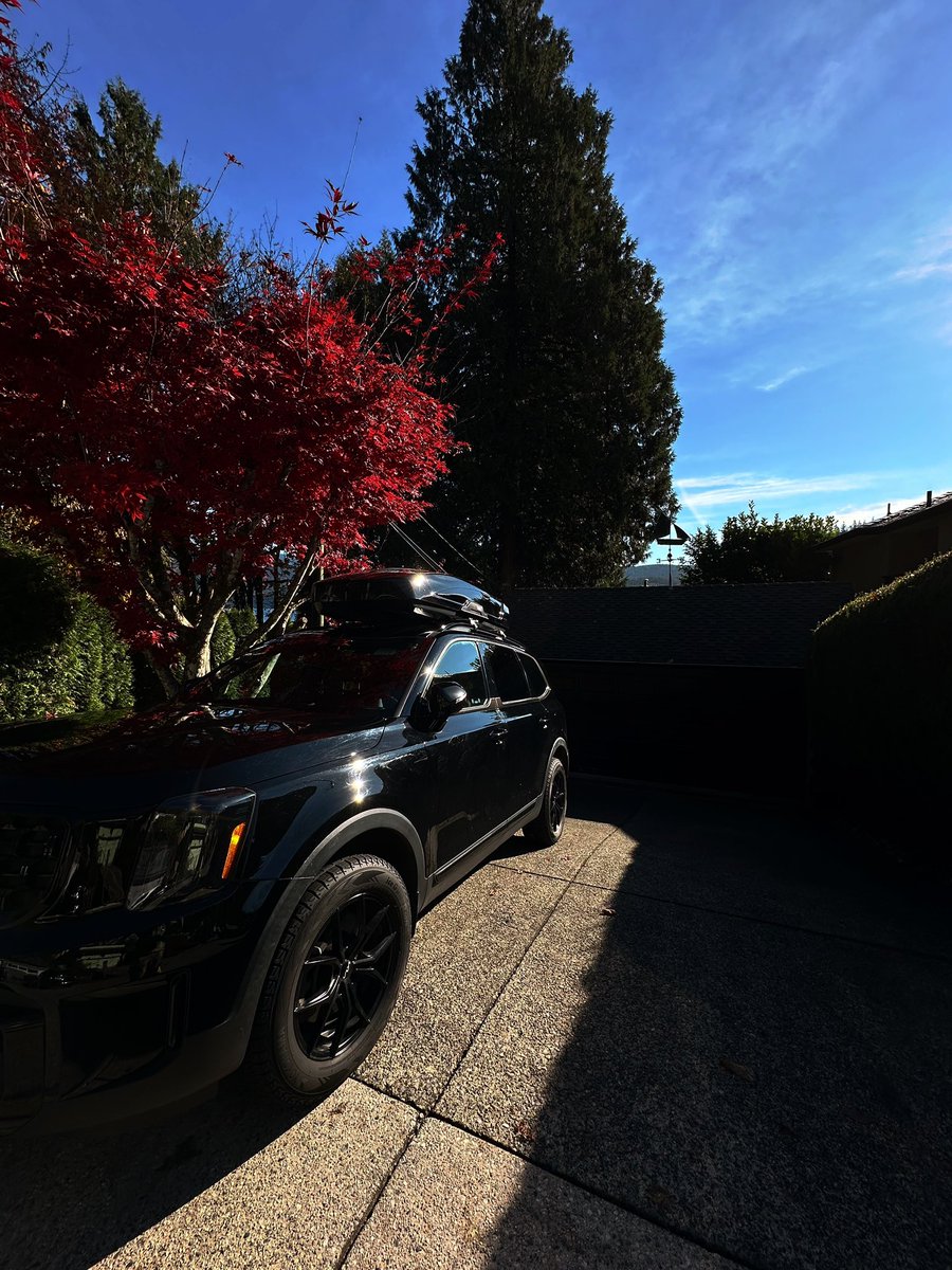 spravko's tweet image. 🏠