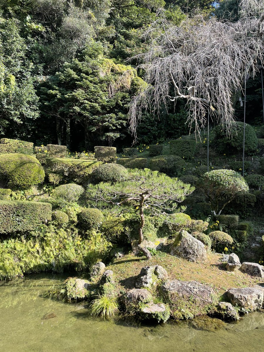 007fukuryu's tweet photo. 石見　医光寺&amp;萬福寺

雪舟ゆかりの地巡り
庭園が素晴らしい👍
医光寺で七尾城の御城印を販売してたので七尾城も登ってみようかと思いましたが、今の時期は熊🐻に遭遇するかもしれないのでおすすめしないと言われました。

#御朱印 #御城印 #雪舟 #庭園 #日本遺産 #七尾城 https://t.co/goyghRJebU