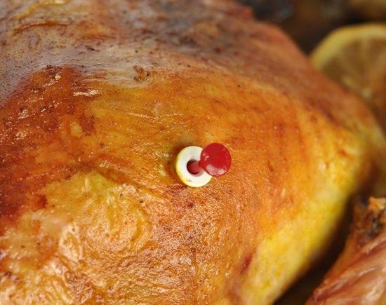 It's always obvious when #TurkeysOfDoom  are hot for you.